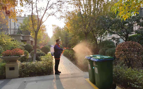 蟑螂千萬不要用腳踩！這些消滅方法一定要收好